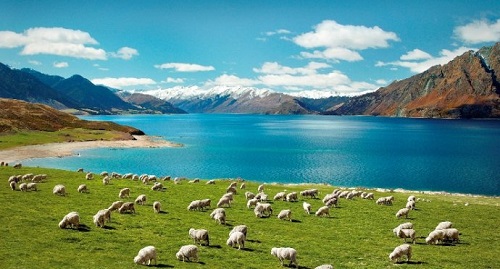 du lich New Zealand