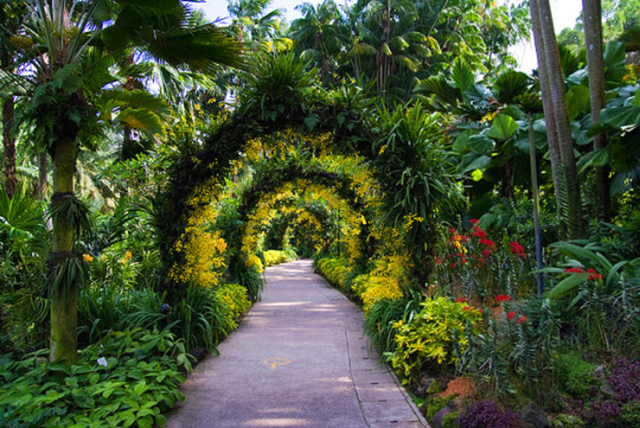 Botanic Gardens