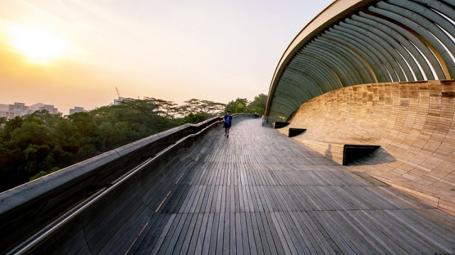 Cầu Henderson Waves