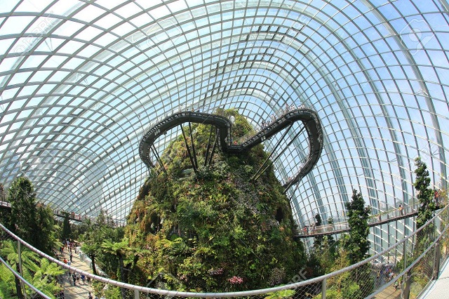  Flower Dome & Cloud Forest