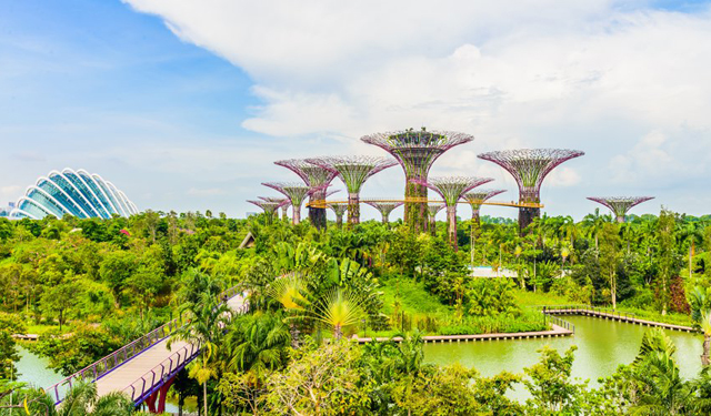 Garden by the bay