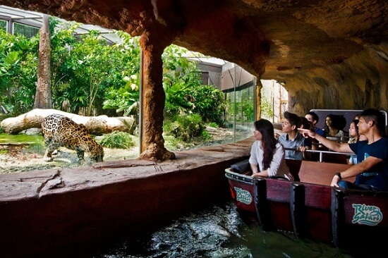 Singapore River Safari