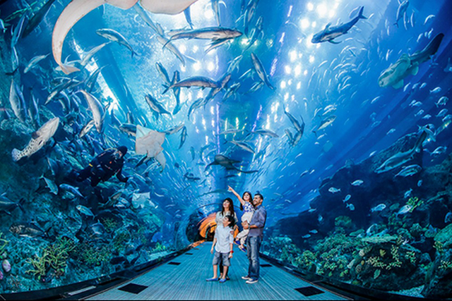 Thủy cung S.E.A Aquarium