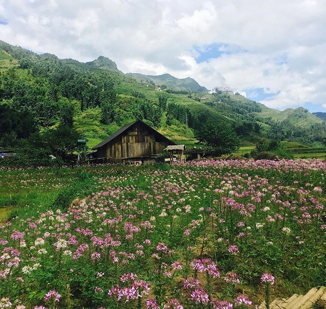 Bản Cát Cát