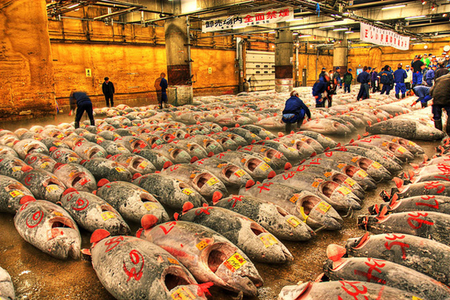 Chợ cá Tsukiji