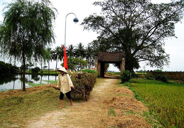 Công Làng Mông Phụ - Đường Lâm