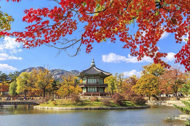 cung điện Gyeongbokgung - hàn quốc