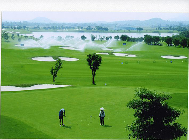 đánh golf