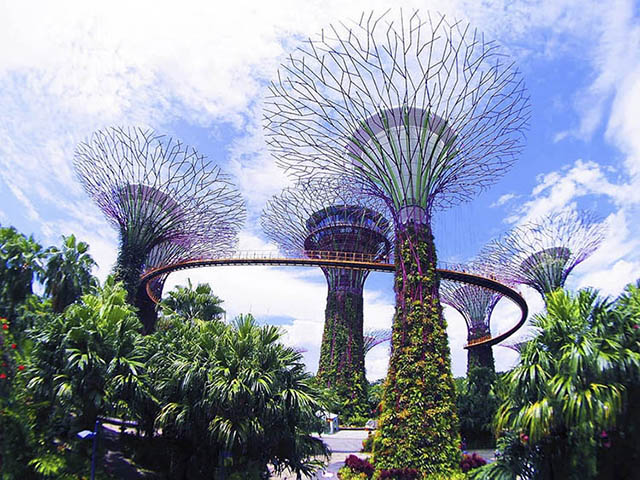 Garden by the Bay