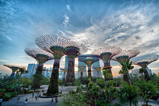 Garden by the Bay