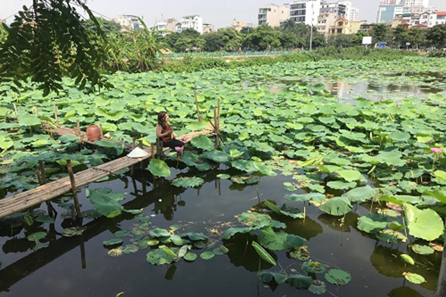 hồ tây