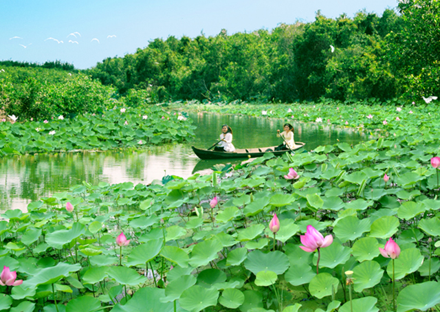 khu du lịch sinh thái Đồng Tháp Mười