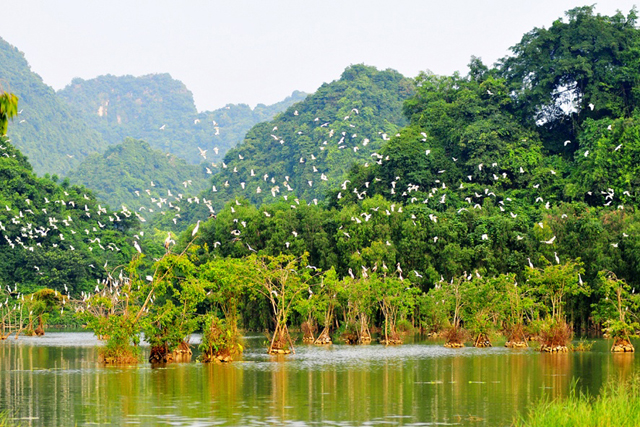 khu du lịch sinh thái Thung Nham