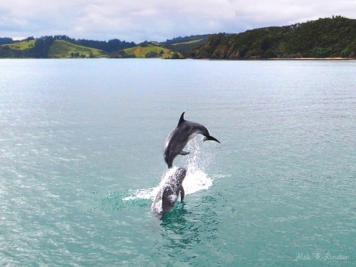 du lịch New Zealand