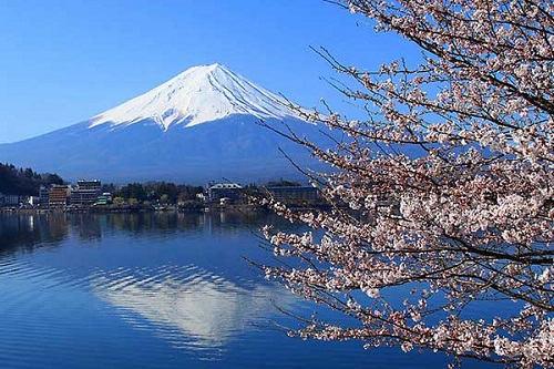 Những địa điểm nổi tiếng ở Tokyo