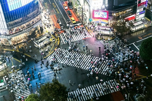 ngã tư Shibuya