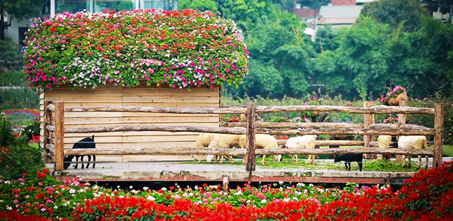 thung lũng hoa hồ Tây