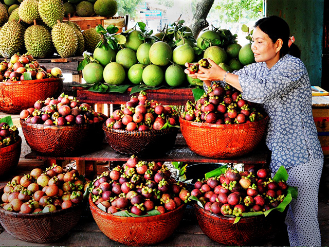 Vườn trái cây lái thiếu bình dương