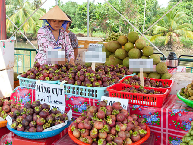 Vườn trái cây thái Thiêu - Bình Dương