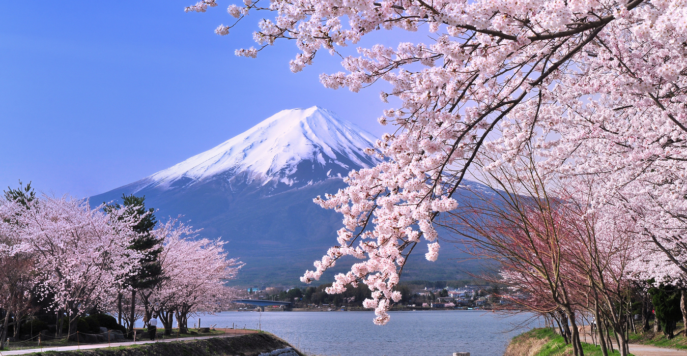 HÀ NỘI - FUJI - TOKYO - NIKKO - HÀ NỘI