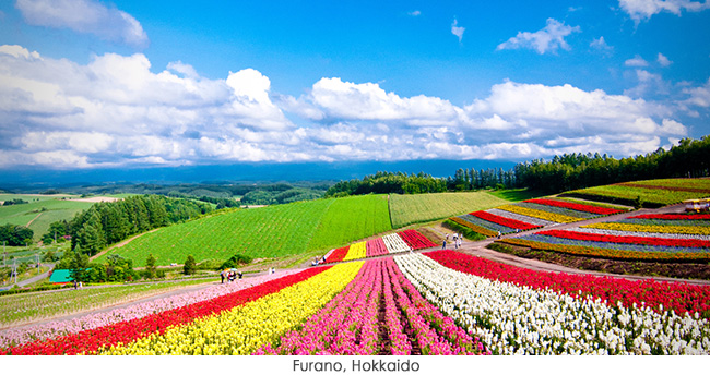 HÀ NỘI - TOKYO - PHÚ SỸ- KAMAKURA OR NIKKO - HÀ NÔI